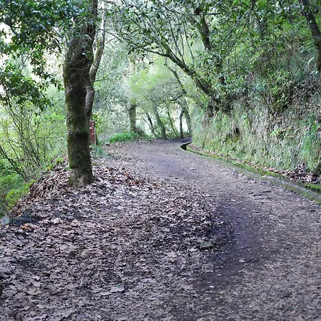 Sea & Mountain View Lombo De Cima House Bbq & Wifi 公寓 *