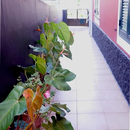 Appartement Sea & Mountain View Lombo De Cima House Bbq & Wifi *