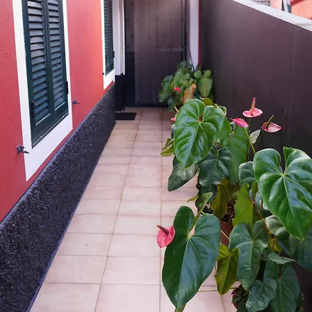 Sea & Mountain View Lombo De Cima House Bbq & Wifi Appartement Santana (Madeira)